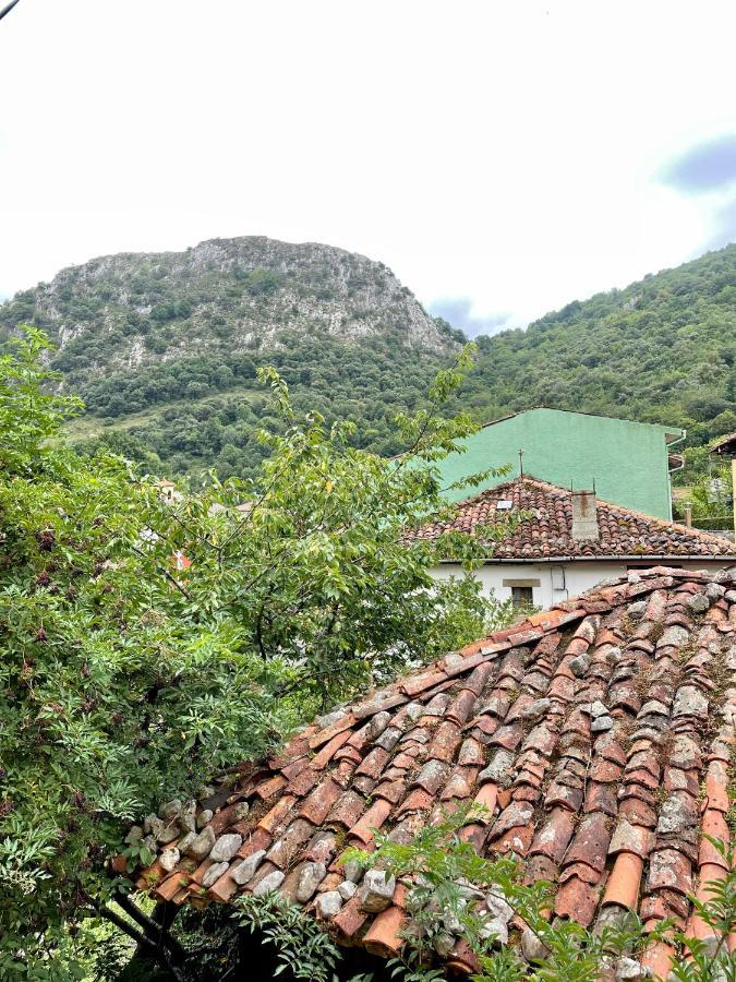 Ferienwohnung Piso San Andres - Picos De Europa Carrena de Cabrales Exterior foto